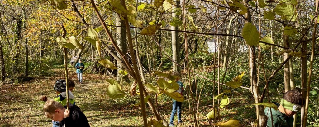 3. PS - Anja Ziegler