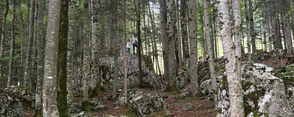 Herbstwanderung der 3. und 4. Klassen