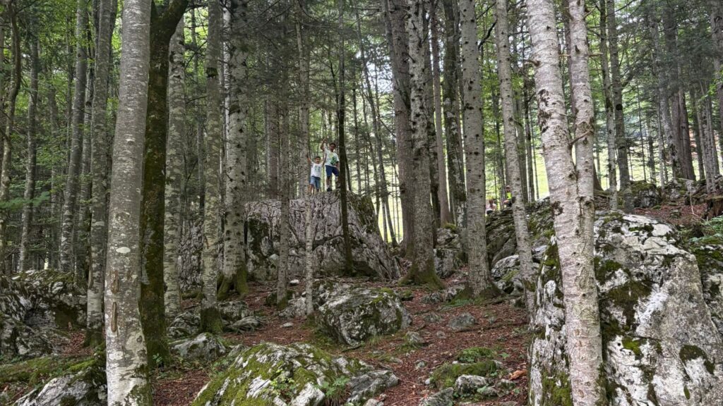 Herbstwanderung der 3. und 4. Klassen